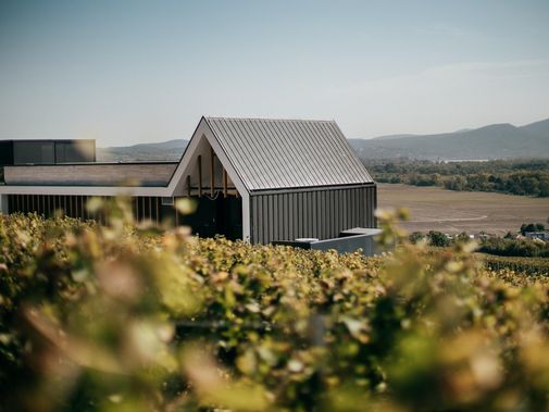 Világi Winery